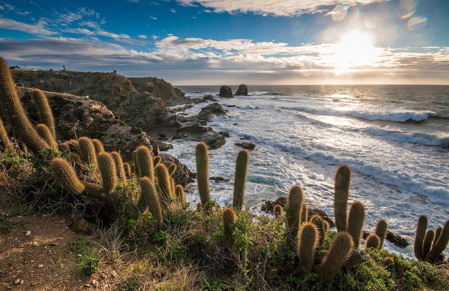 Hotel Alaia Pichilemu Bagian luar foto