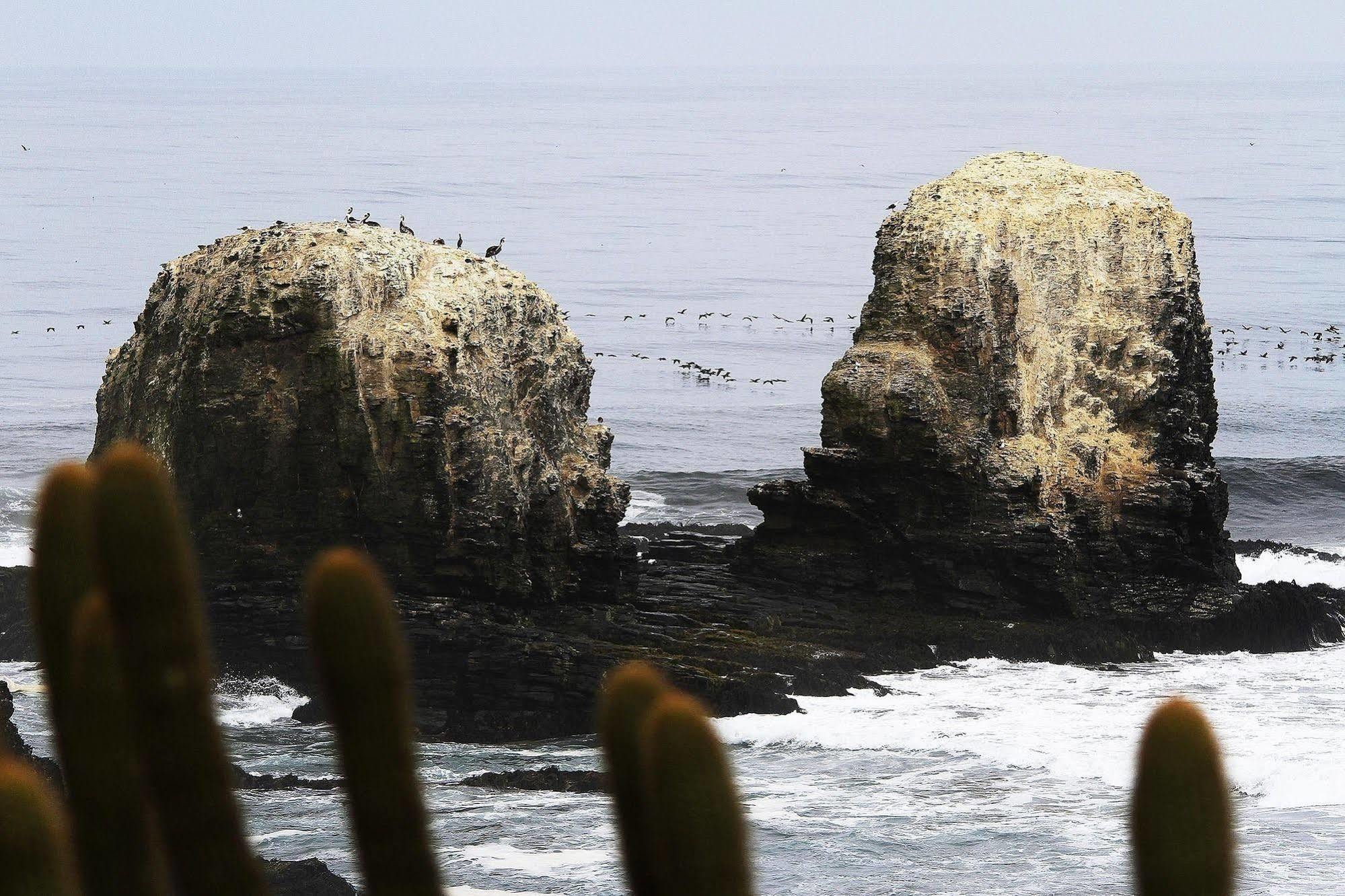 Hotel Alaia Pichilemu Bagian luar foto